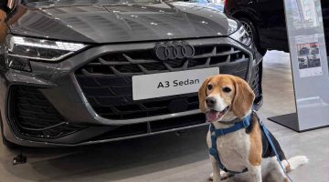Foto de um cachorro ao lado de um Audi A3 Sedan